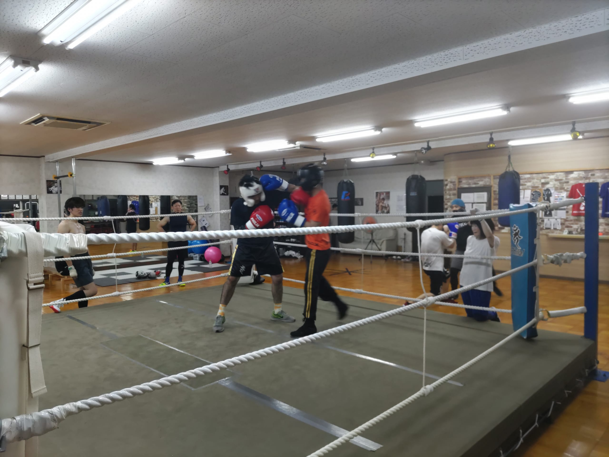 6月21日、天美ジム、トレーニング風景 堺市のボクシングジム(ボクシングジム堺市)より 堺市のボクシングジム「フィリアボクシングジム」 6月21日、天美ジム、トレーニング風景 堺市のボクシングジム(ボクシングジム堺市)より 堺市のボクシングジム「フィリアボクシングジム」