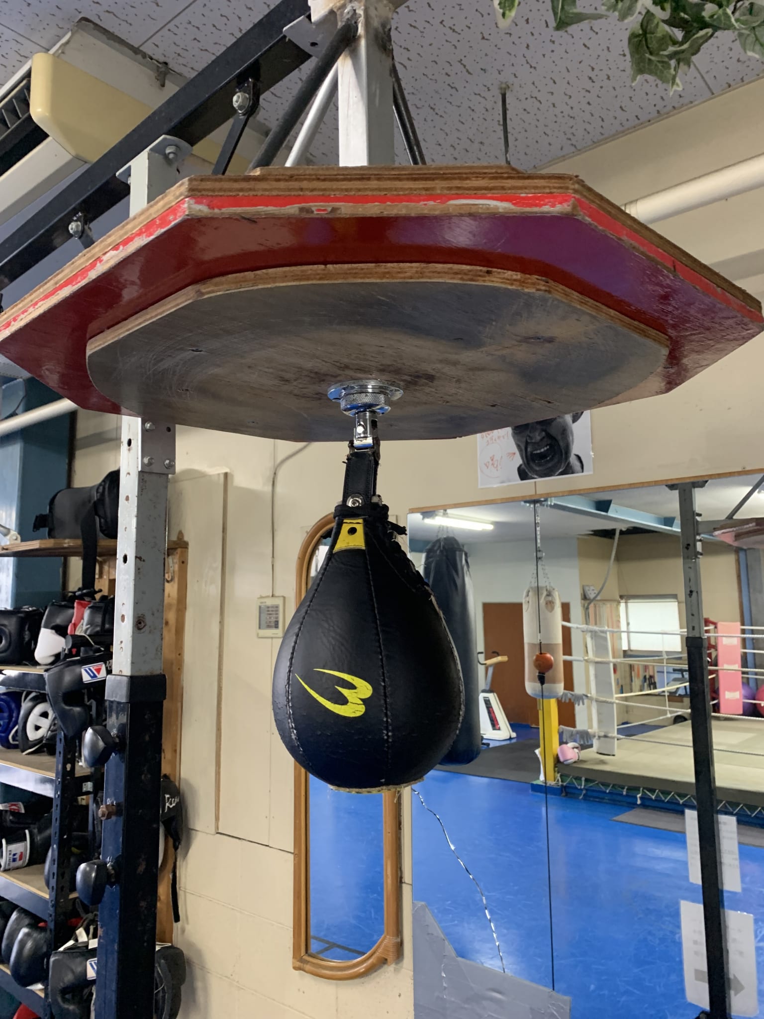 スピードボール 堺市のボクシングジム「フィリアボクシングジム」